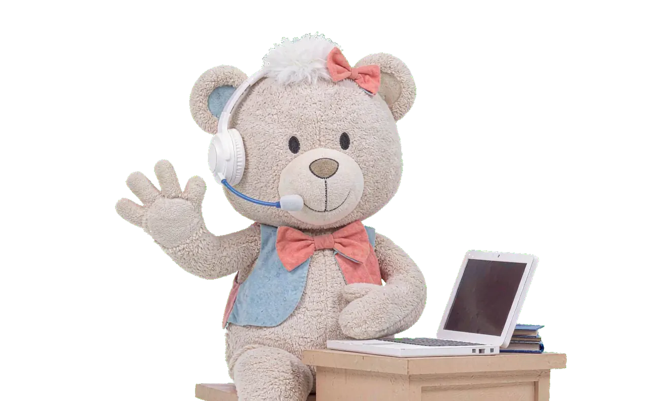 Bochantoy online support